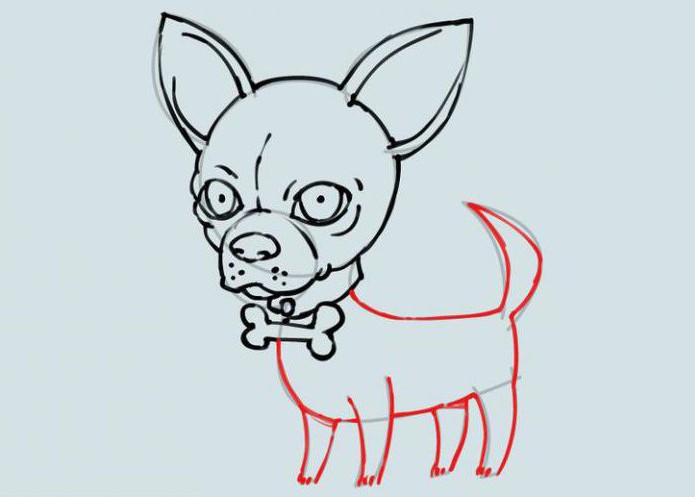 ako nakresliť čivavského psa s ceruzkou