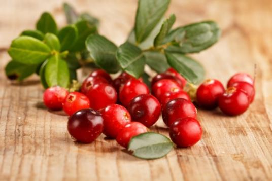Cranberry užitočné vlastnosti a kontraindikácie